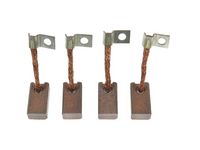 Carbon Brush, starter