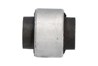 тампон, носач