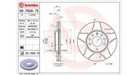 Bremsscheibe