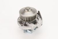 Wasserpumpe, Motorkühlung