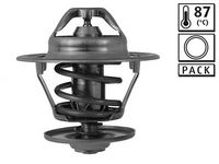 Thermostat, Kühlmittel