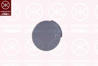 Klappe, Abschlepphaken