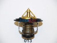 Termostat,lichid racire JAPKO, Cod: 2213