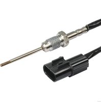 Sensor, Abgastemperatur