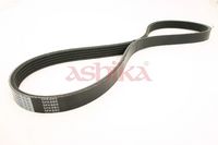 Curea transmisie cu caneluri ASHIKA, Cod: 112-5PK885