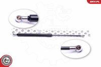 Gas Spring, boot/cargo area