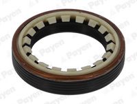 Wellendichtring, Differential