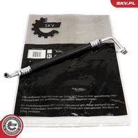 Article Picture