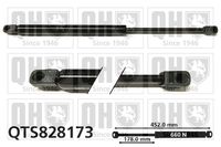 Gasfeder, Koffer-/Laderaum