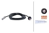 Sensor, Raddrehzahl