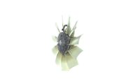 Thumbnail - Koelventilatorwiel - CFF480000P - MAHLE