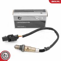Oxygen Sensor