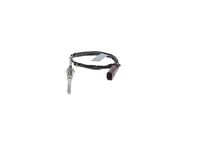 Sensor, Abgastemperatur