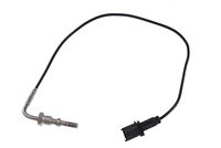 Sensor, Abgastemperatur
