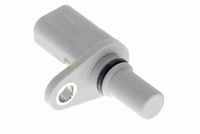 Article Picture