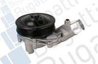 Wasserpumpe, Motorkühlung