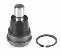 Trag-/Führungsgelenk