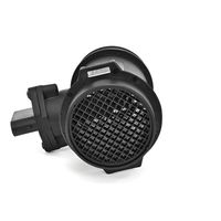 DELPHI Luchtmassameter 3