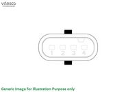 Schaeffler Vitesco Luchtmassameter 2