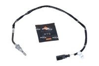 Sensor, Abgastemperatur