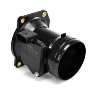 DELPHI Luchtmassameter 6