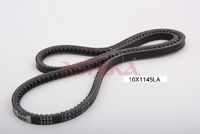 Curea transmisie ASHIKA, Cod: 109-10X1145