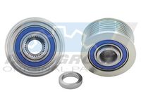 Alternator Freewheel Clutch