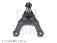 BLUE PRINT Fuseekogel 2