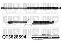 Gasfeder, Koffer-/Laderaum