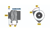 Generator