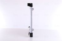 Article Picture