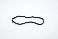 Dichtung, Steuergehäuse