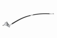 Brake Hoses