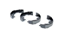 ATE Remschoenset, parkeerrem 5