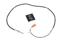 Sensor, Abgastemperatur