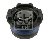 Bushing, axle beam