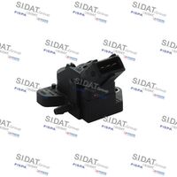 Sensor, Ladedruck