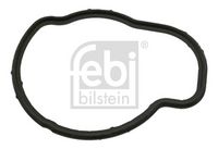 Dichtung, Thermostat