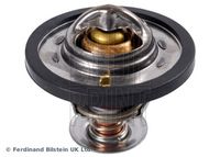 Thermostat, Kühlmittel