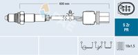 Oxygen Sensor