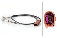 Sensor, Abgastemperatur