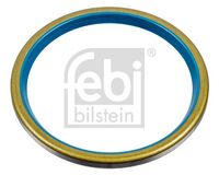 Seal Ring, steering knuckle