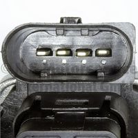 Article Picture
