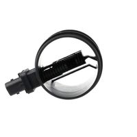 DELPHI Luchtmassameter 8