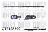 Gasfeder, Koffer-/Laderaum