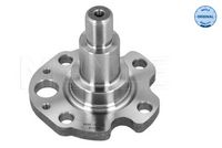 Stub Axle, axle beam