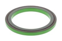 Shaft Seal, differential