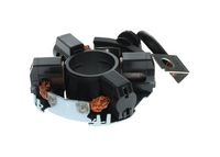 Halter, Kohlebürsten