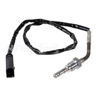 Sensor, Abgastemperatur
