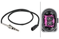 Sensor, Abgastemperatur